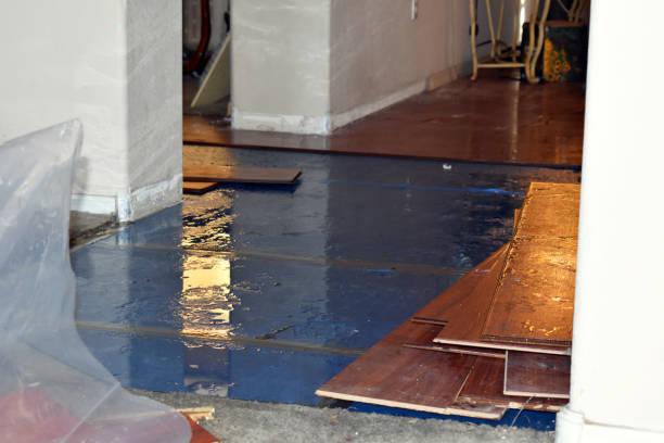 Professional Basement Flooding technician working in East Andover, ME